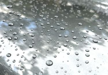 Ceramic coating water beading on a vehicle hood — Jacksonville FL